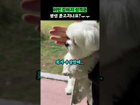 <strong>이런</strong> 강아지 성격은 평생 못고치나요?ㅜㅜ