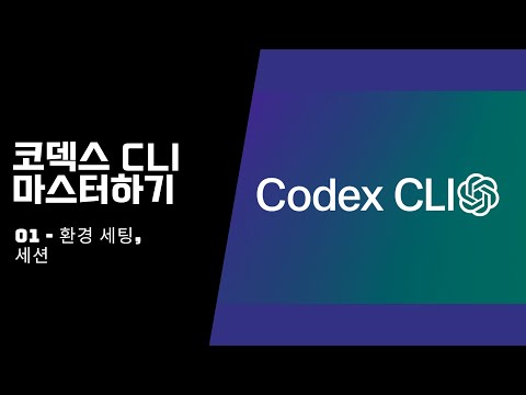 단연코 지금은 코덱스 CLI 공부하기 가장 좋은 시기입니다.