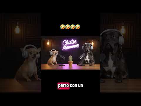 perro taladro #pets  #dogsoftiktok  #catsoftiktok  #funnypets  #petsoftiktok  #animals