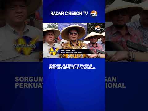 Sorgum Alternatif Pangan Perkuat Ketahanan Nasional