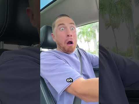 A Very Big Spider Got Into Our Car 😱#Catsoftiktok#CatLovers #cat #cute #FunnyCats#catcartoon #fyp