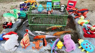 Catch Many Colorful Ornamental Fish In The Pond, Koi Fish, Real Turtles, Chickens, Ducks