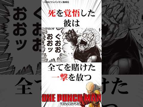 無免ライダーに憧れたパピヨン800#ワンパンマン #onepunchman