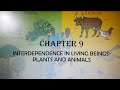 Environmental Impact and Conservation Concepts