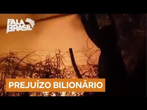 Queimadas em São Paulo causam prejuízo superior a R$ 1 bilhão