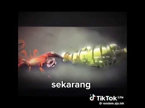 ini dia perbedaan buaya di kancil zaman dulu dengan kancil the movie sangat berbeda kalian pernah