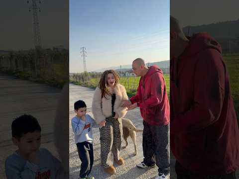 Serkan SEKOMY funny video 🥲🤣 Serkan SEKOMY Tiktok video 🤣 #shorts