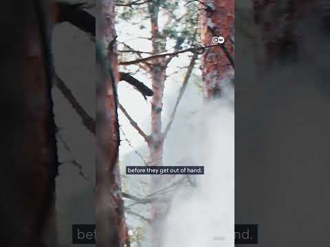 Wildfires: How tech can help save you | DW News