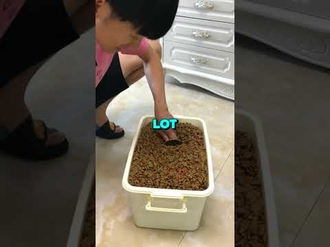 Dogs Want More Food! #cute #pets #animals