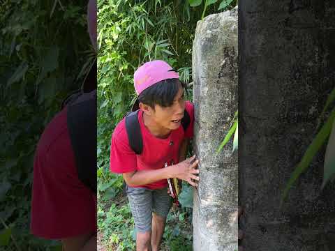 Ucil takut pengamen #diaryucil