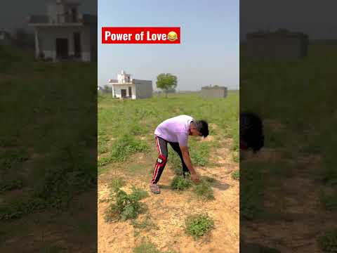 Power of Love? #comedy #funny
