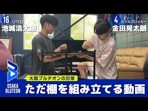 【ブルテオンの日常】ただ棚を組み立てる動画