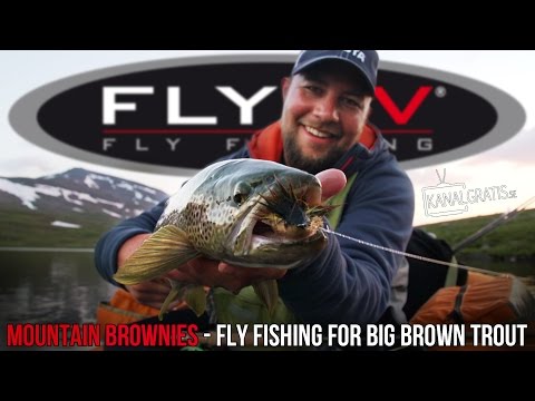 FLY TV - Mountain Brownies - Fly Fishing for Big Brown Trout