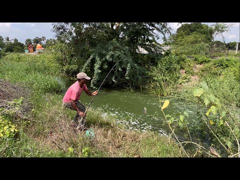 Hook fishing | Singal hook fishing |road side canal | catching Talapia fishes