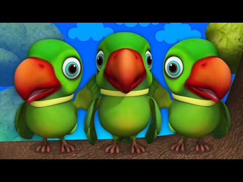 Main Tota Main Tota ||मैं तोता मैं तोता ||Best Nuresry Rhymes For Kids||hindi poem||NooNoo Kids