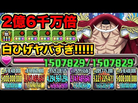 【HP150万】最大倍率2億6000万倍！白ひげの攻略法がイカれてます！蒼穹の千龍を攻略！ONE PIECEコラボ【スー☆パズドラ】