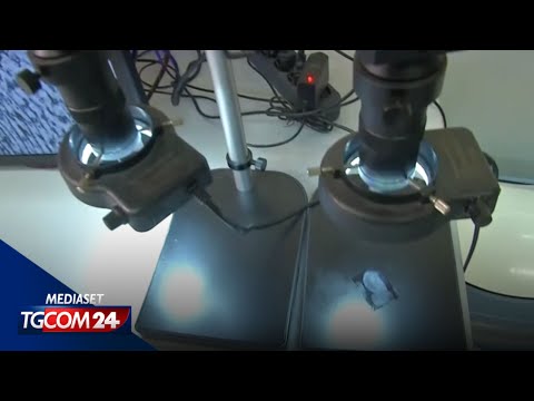 Garlasco, gli esami confermano il dna dell'ignoto numero 3