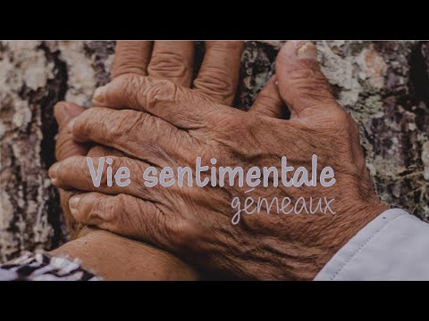 GEMEAUX - Vie sentimentale ~ Vous soustraire à cette attraction !