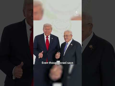 Who was at Egypt peace summit?