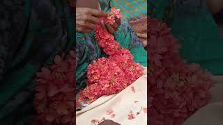 #మా పెరట్లో💐😘 pusina puulu # vairal video # trending shorts #3360 subscriber's vacharu # yt shorts