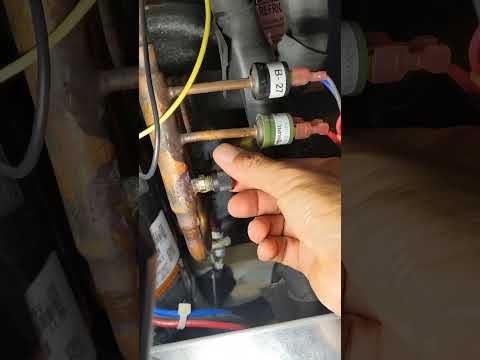 Jobs with Jesus:🧊👀Spot Check in Progress!