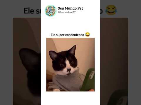 Algo não está certo 👀 #animais #brasileiro #shortsvideos #cachorros #gatos #humorbrasileiro