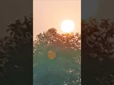 उगी उगी हे सुरूज देव #andrast #azhari #chattpuja#viral#trending#ytshorts#shortfeed#festival#bihar#