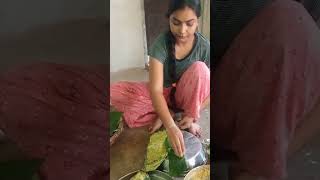 Vlog 5