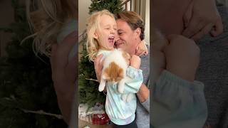 Dad gets best reaction from daughter for new kitten! 🎁🐈