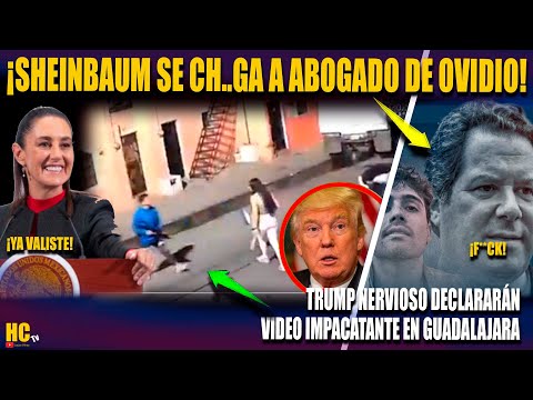 Sheinbaum va por abogado de #ovidio!, #trump nervioso sotaran la sopa #video impactante