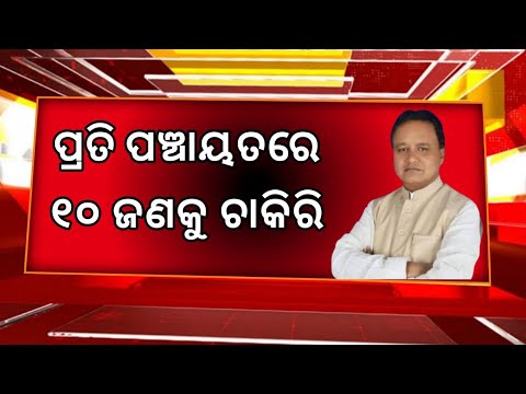 Odisha Panchayat Level Govt Jobs 2025 ! 12th Pass Jobs in Odisha ! New Job Vacancy