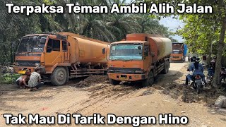 Kucing Oren Terpaksa Ambil Alih Jalan Karena Teman Tak Mau Di Tarik Dengan Hino