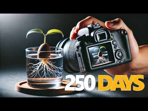 250 Days in 8 minutes - Time lapse compilation #greentimelapse #gtl #timelapse