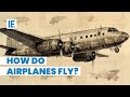 Aerodynamics and Flight Mechanics Concepts