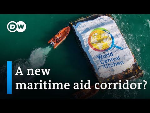 Gaza aid ship arrives as Israel's military campaign continues | DW News