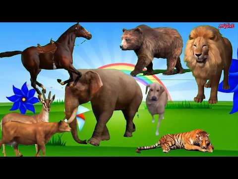 Animal sounds and names for children in English and with a magnifying glass #animal_sounds