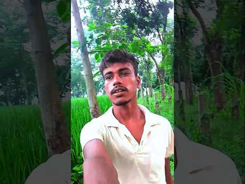 Apne desh ki sarkar #dhesi #sarkar #daru #viralshorts