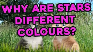 Why are stars different colours?