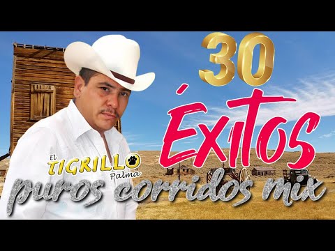 El Tigrillo Palma Corridos 🎼 Los 30 Mejores Corridos Éxitos