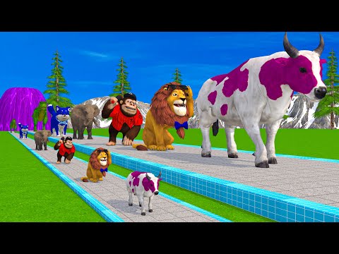 Paint & Animals Gorilla,Cow,Tiger,Lion,Elephant,Bear Fountain Crossing Transformation Animal Cartoon