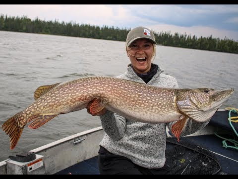 Ultimate Fly-in Fishing Adventure at Kississing Lodge - Manitoba Hot Bite