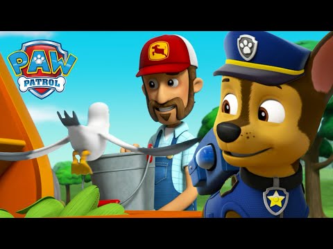 Os Cães salvam o silo de milho do Agricultor Al dos pássaros famintos! - Patrulha Pata PAW Patrol