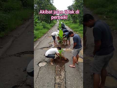 jalan di tanami pohon #ai #reels #fyp