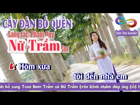 Karaoke Cây Đàn Bỏ Quên | Rumba | Tone Nữ Trầm (Gm,Tp:110) | Quốc Dân Karaoke