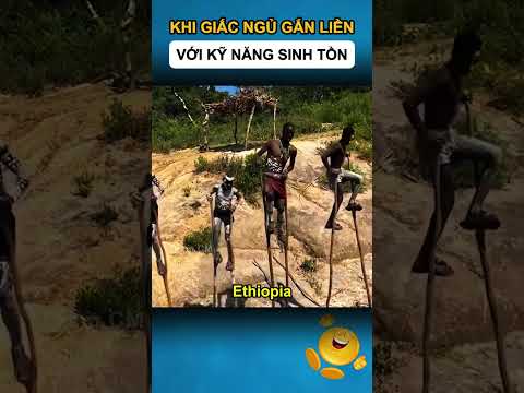 KHI GIẤC NGỦ GẮN LIỀN VỚI KỸ NĂNG SINH TỒN