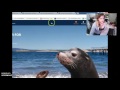 Conservation Efforts and Ecosystem Impact