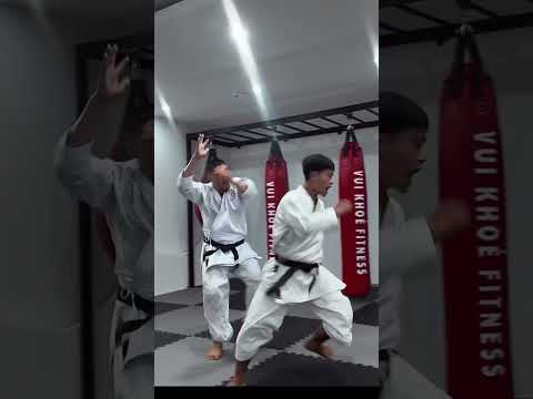 Những đòn tinh hoa karate đẹp mắt | the best Karate’s moves in the real street fight! #loitrankarate