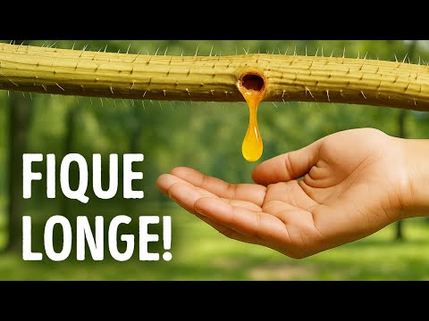Sinais de alerta da natureza que você não deve ignorar