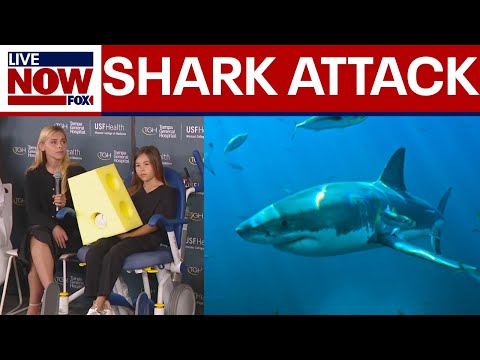9-year-old bit by shark off Florida beach, has emergency surgery