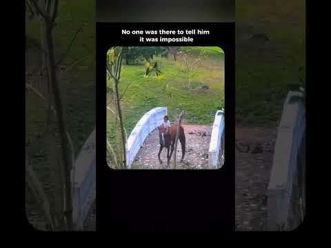 Believe in yourself #motivation #successmindset #mindset #success #discipline #nevergiveup #believe